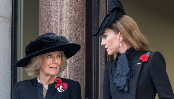 Princess Kate, Queen Camilla secret alliance laid bare