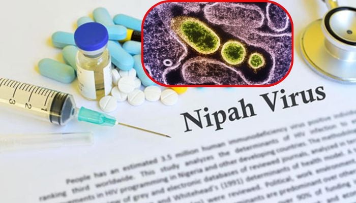 What is Nipah virus? Health officials report new cases of deadly disease