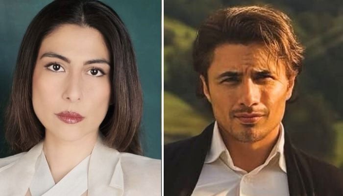 Artist Meesha Shafi (left) and singer Ali Zafar. — Instagram/ali_zafar/ meesha.shafi/File