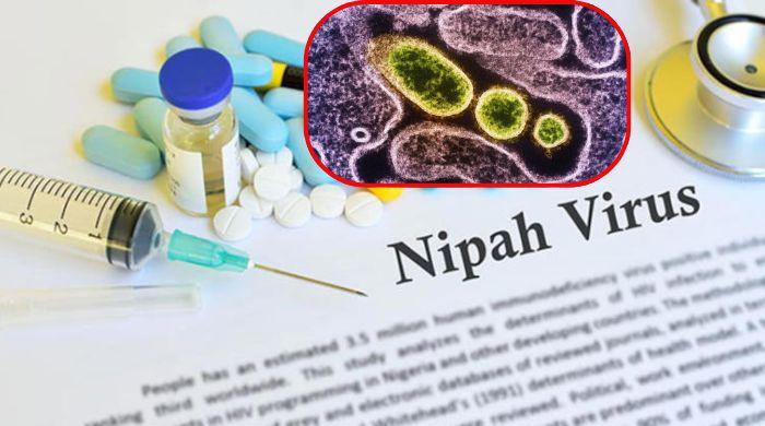 What is Nipah virus? Health officials report new cases of deadly disease
