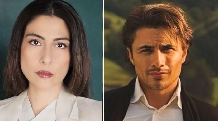 Decide Ali Zafar's defamation suit against Meesha within 30 days, LHC orders trial court