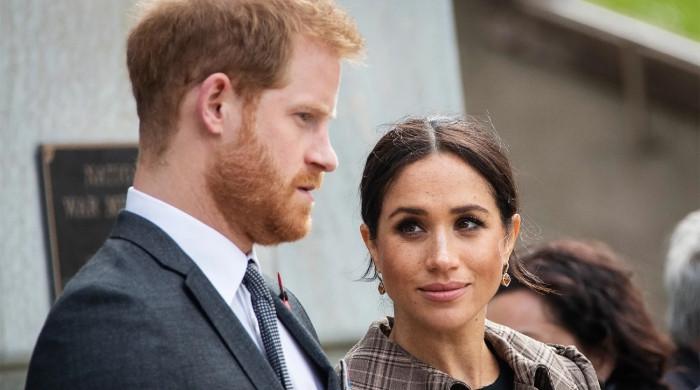 Meghan Markle gives big task to Harry as social standing in tough spot