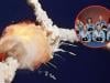 40 years after Challenger explosion, Artemis II raises fresh concerns about NASA safety