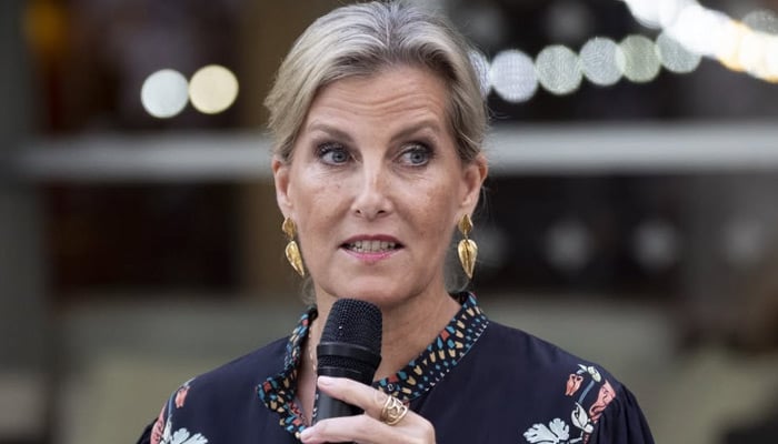 Duchess Sophie dives into new reality with latest adventure