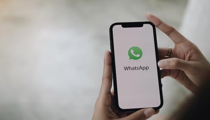 Discover unique, exclusive features of WhatsApps upcoming subscription plan
