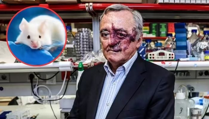 Breakthrough study shows potential for pancreatic cancer ‘cure’ in mice