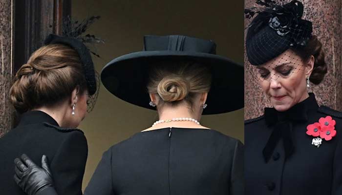 Duchess Sophie becomes Princess Kates secret shield in cancer comeback