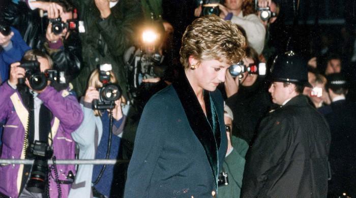 Princess Diana's life connects in unseen palace controversy