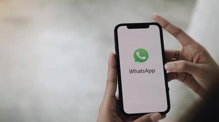 Discover unique, exclusive features of WhatsApp's upcoming subscription plan