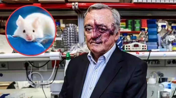 Breakthrough study shows potential for pancreatic cancer ‘cure' in mice 