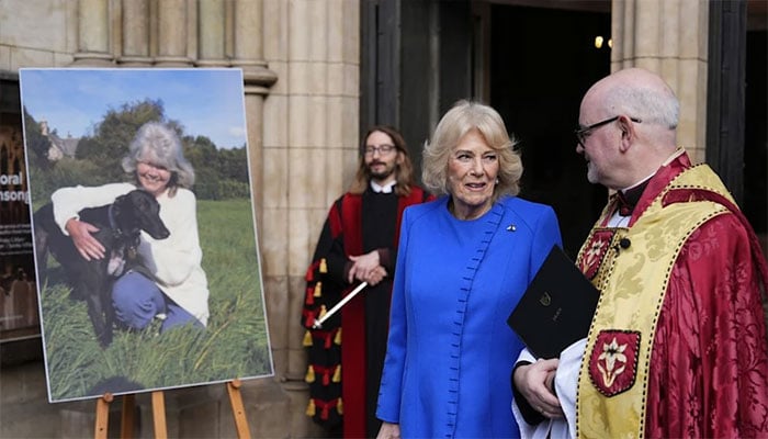Queen Camilla pauses for Dame Jilly’s portrait not ex Andrew