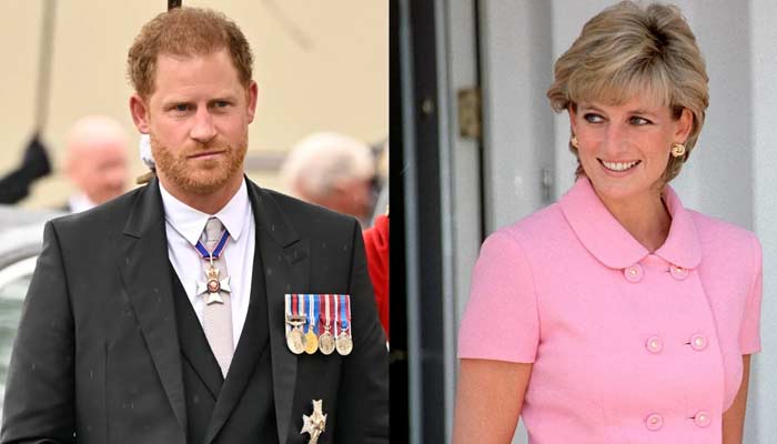 Prince Harry reveals Princess Dianas truth in new book