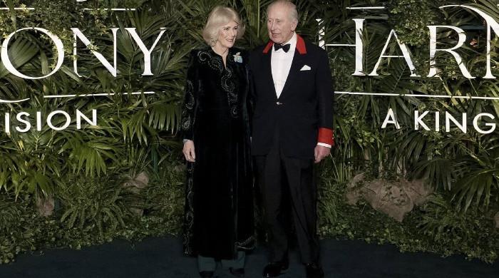 King Charles unveils landmark film with VIP guests at palace