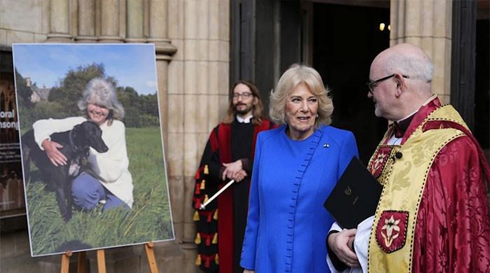 Queen Camilla pauses for Dame Jilly's portrait not ex Andrew