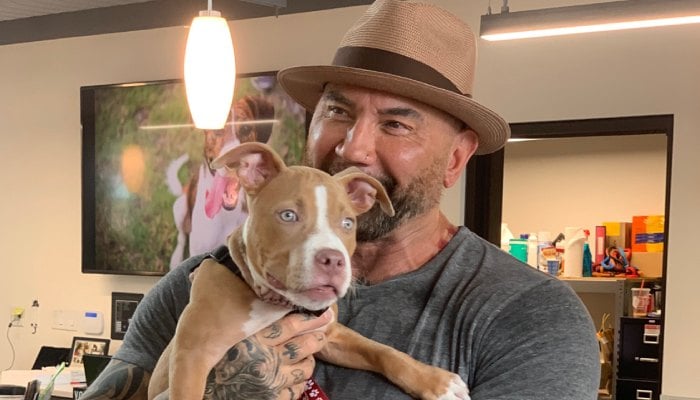 Dave Bautista bought jet for pet dogs