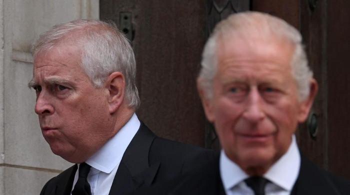 Andrew opened Buckingham Palace doors for Epstein: Shocking details unveiled
