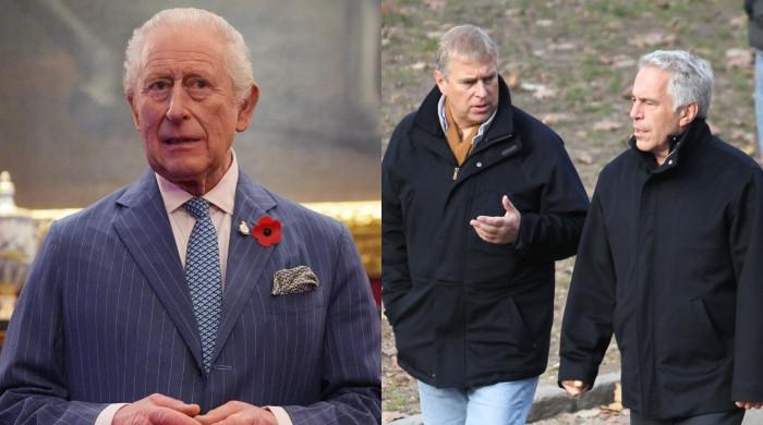 King Charles team issues statement after Andrew, Epstein 'Palace' meeting 