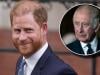 Prince Harry makes secret plea to King Charles with unexpected royal duty