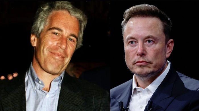 Why Elon Musk wanted to visit Epstein's Island?
