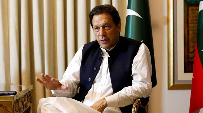 Epstein files show UN official called Imran Khan 'London society lion'