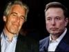 Why Elon Musk wanted to visit Epstein's Island?