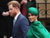 Meghan Markle plans to 'dominate' UK after Harry gets green signal