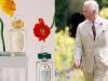 King Charles honours Diana through charitable perfume launch