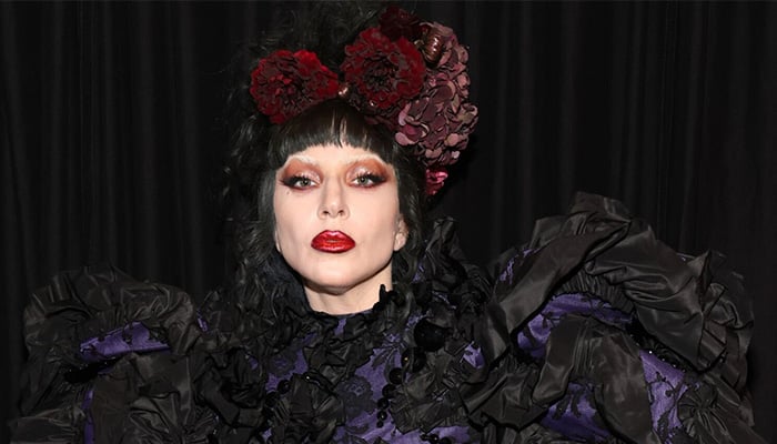 Lady Gaga won Best Pop Vocal Album for Mayhem