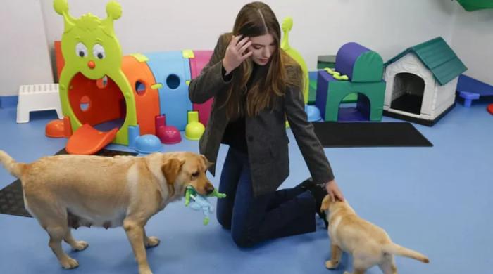 Princess Sofia shares unexpected moment away from cameras