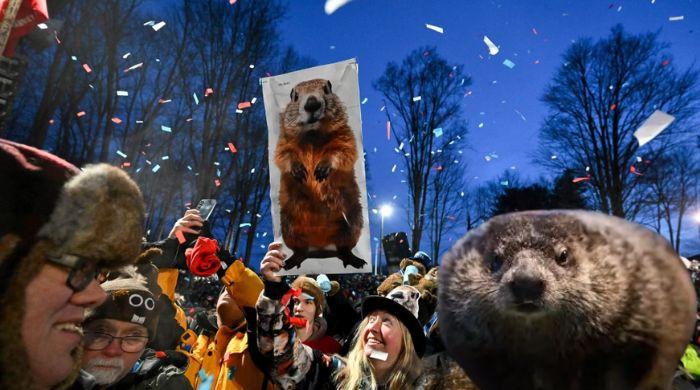 What's Groundhog Day? All eyes on Punxsutawney Phil for major winter prediction 
