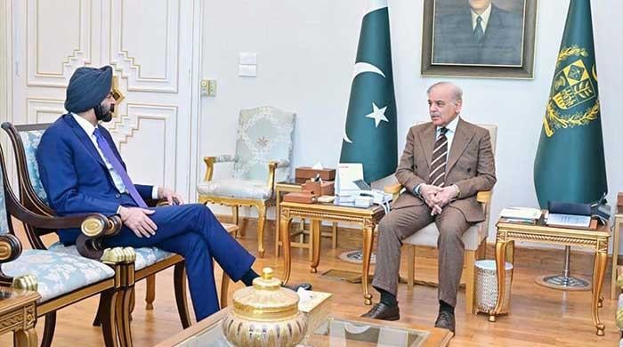 In meeting with PM Shehbaz, WB president lauds govt's reform efforts