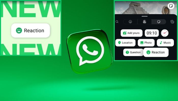 WhatsApp makes reacting to Status more fun with THIS amazing feature: Details inside