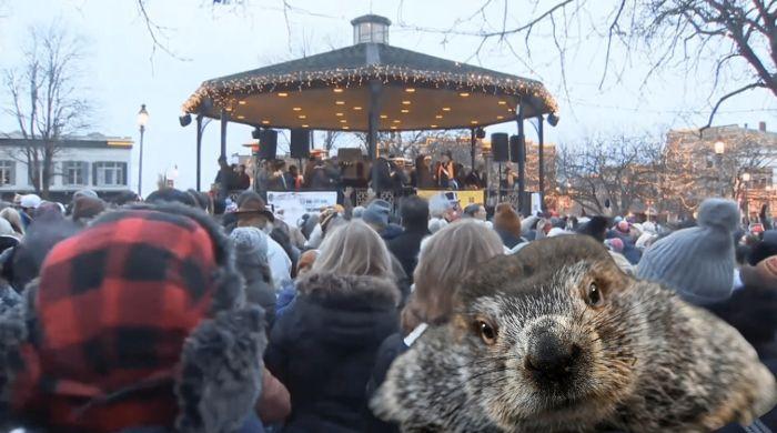 Shadow or Sun? Punxsutawney Phil's Groundhog Day prediction is here