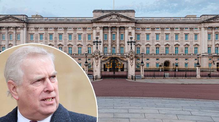 Andrew's illicit activities in Buckingham Palace exposed: Shocking details