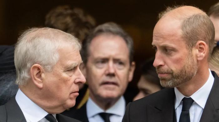 Andrew to face real reckoning under William's reign: watch