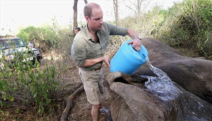 Prince Williams connections with Epstein come out in new files