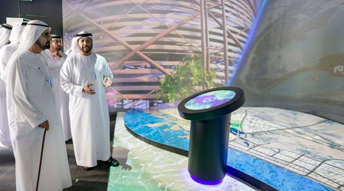 Dubai to plant 1.5m trees and build 120 new parks by 2030