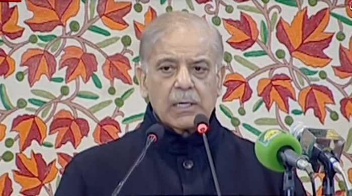 India carrying out terrorism via proxies after humiliating May defeat: PM Shehbaz