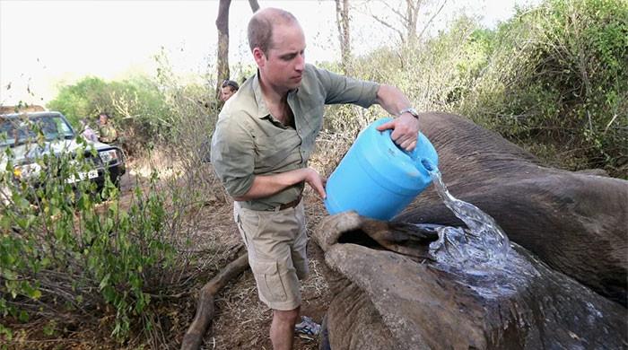 Prince William's connections with Epstein come out in new files