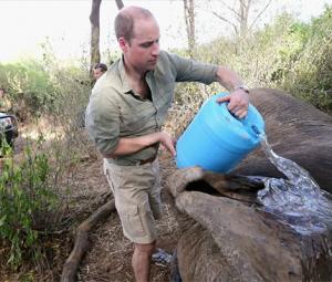 Prince William's connections with Epstein come out in new files