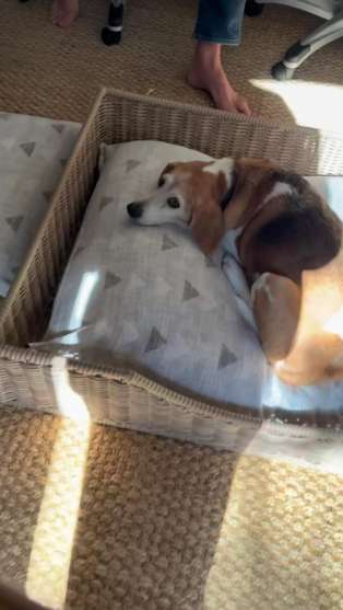 Prince Harry reacts to Meghan Markles Valentines Day gift: Love you!