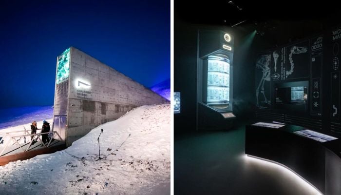 Colossal Biosciences plans frozen biovault to store samples from 10,000 species