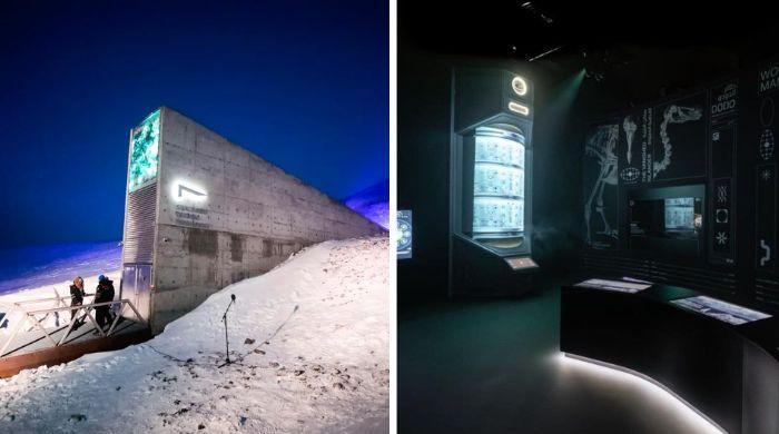 Colossal Biosciences plans frozen biovault to store samples from 10,000 species