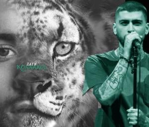 Zayn Malik's fifth album title 'KONNAKOL' explained