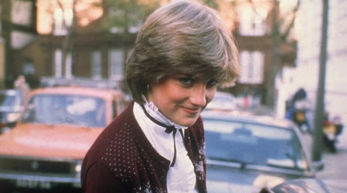 Princess Diana made choice no one saw coming: watch