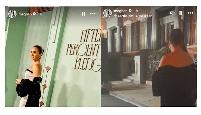 Meghan brings her commitment to equity and community change to gala