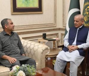 PM Shehbaz to make 'final decision' on Pak vs Ind T20 World Cup clash
