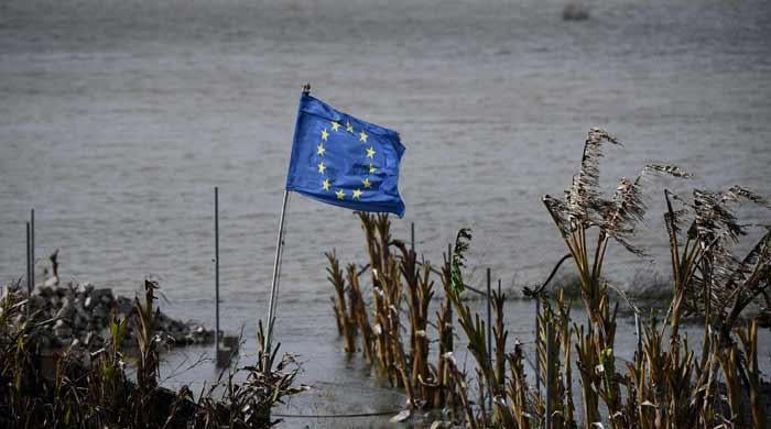 January was fifth hottest on record despite cold snap: EU monitor