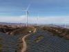 Solar, wind capacity growth slowed last year, analysis shows