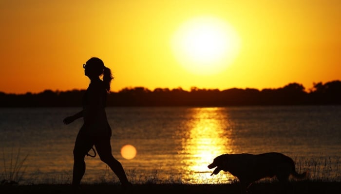A woman walks her dog at sunset in Porto Alegre downtown, Rio Grande do Sul state, Brazil, on February 10, 2015. — AFP
